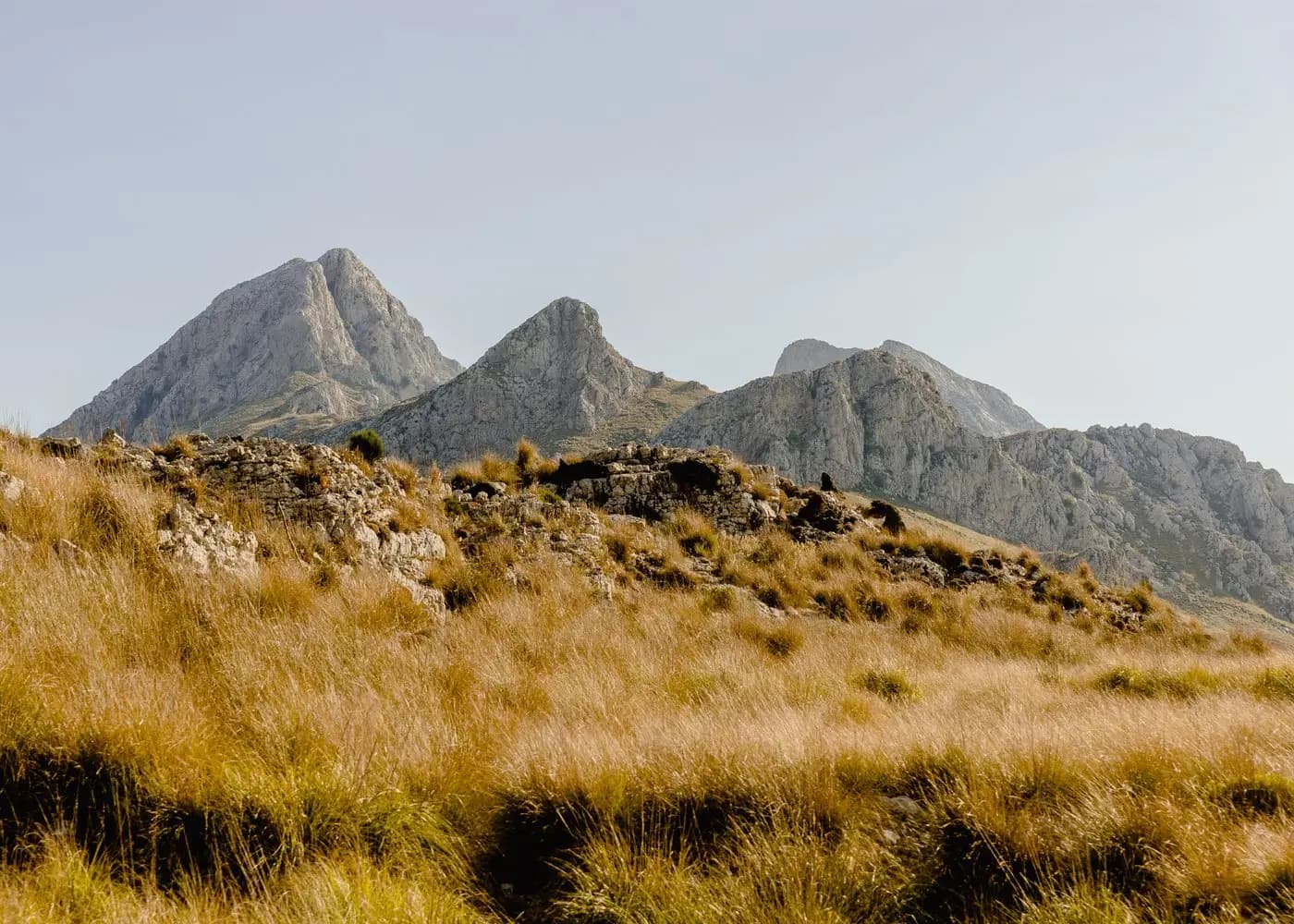 Limestone peaks and golden grass on a mountain slope