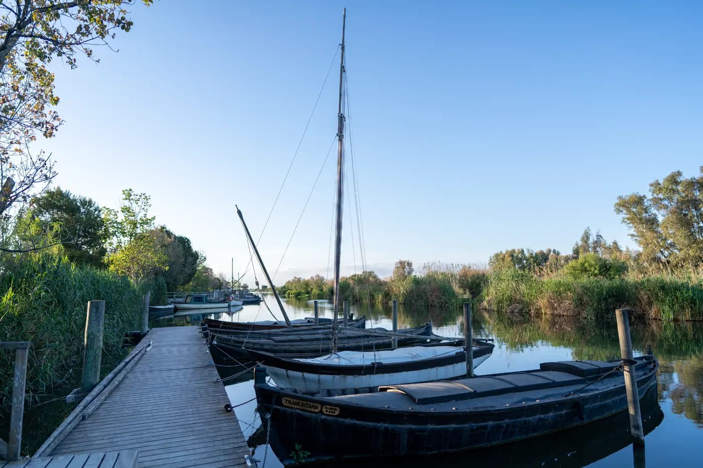 Traditional wooden boats moored on a reed-lined canal