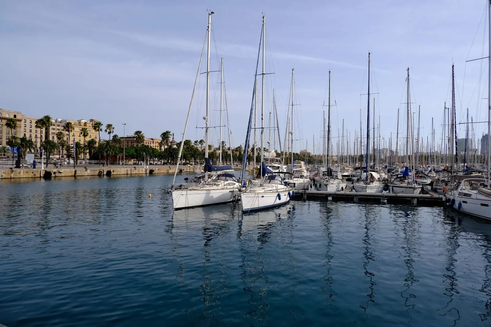 Private catamaran and sailing team building in Barcelona