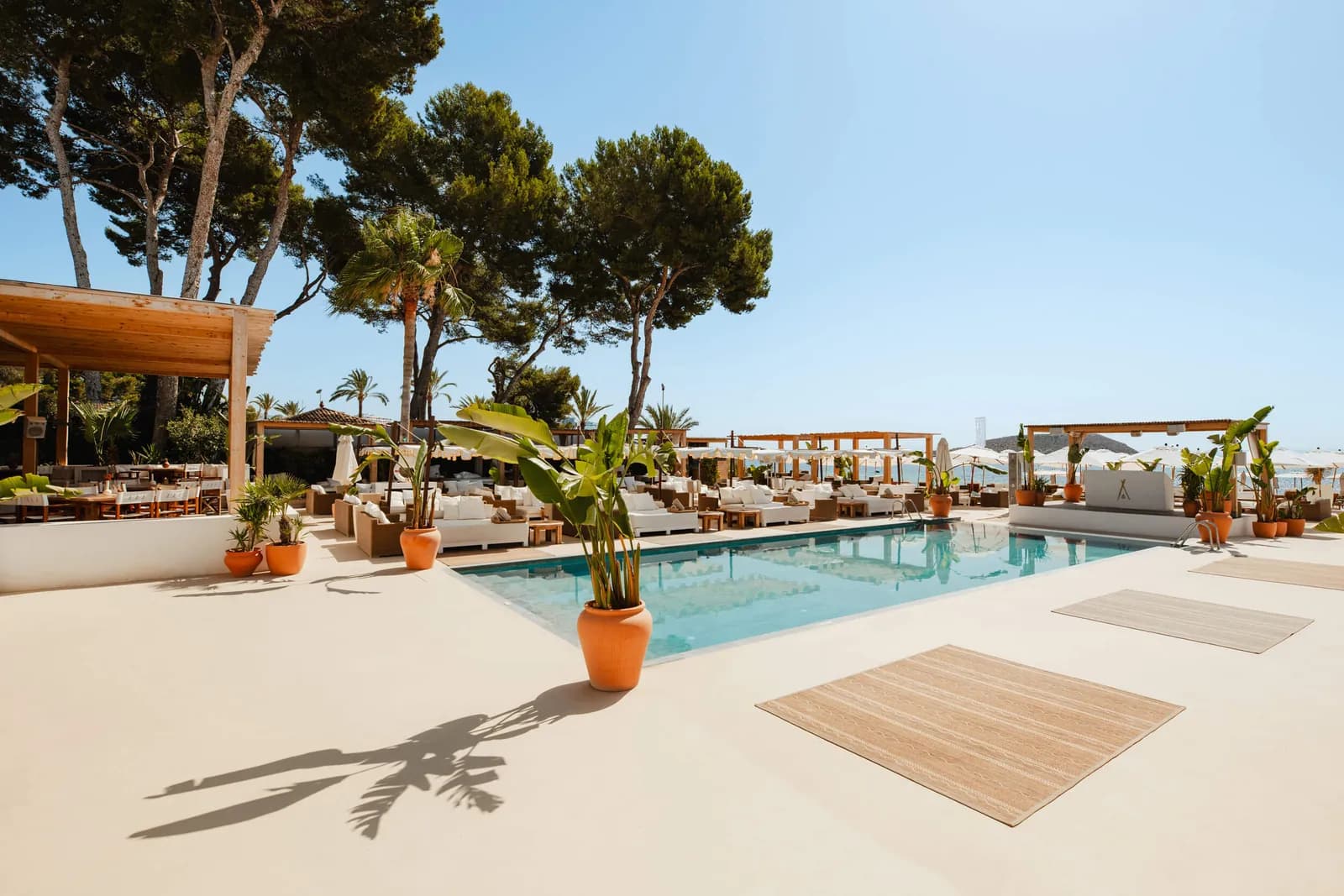 Pool and sun loungers at Nikki Beach Mallorca with pines and palms