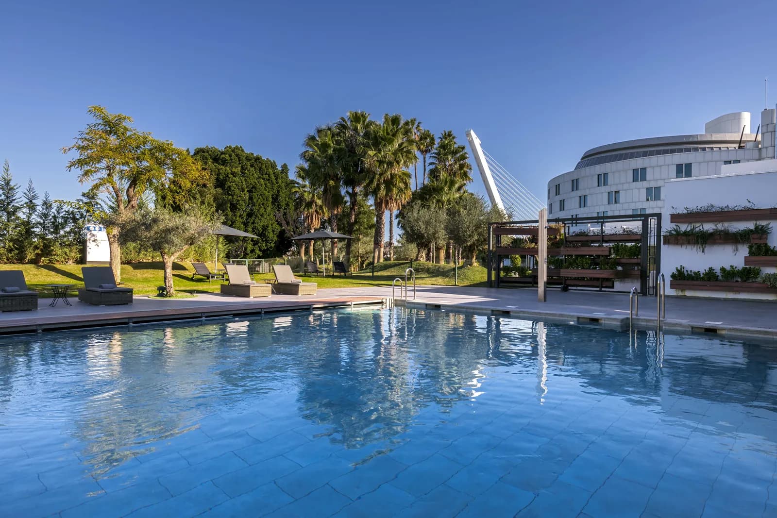 Outdoor pool surrounded by palm trees and lawns at Barceló Sevilla Renacimiento