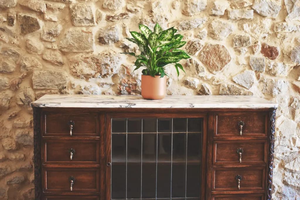 Stone-walled room at Casa Grande 1771 with a wooden sideboard and a plant