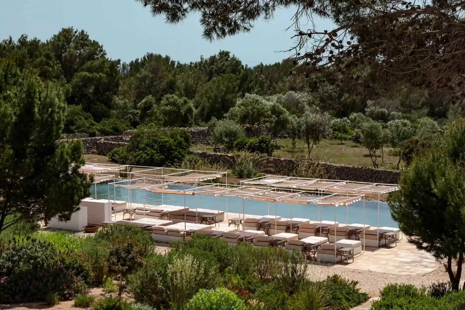 Pool surrounded by pines and sun loungers in Menorca