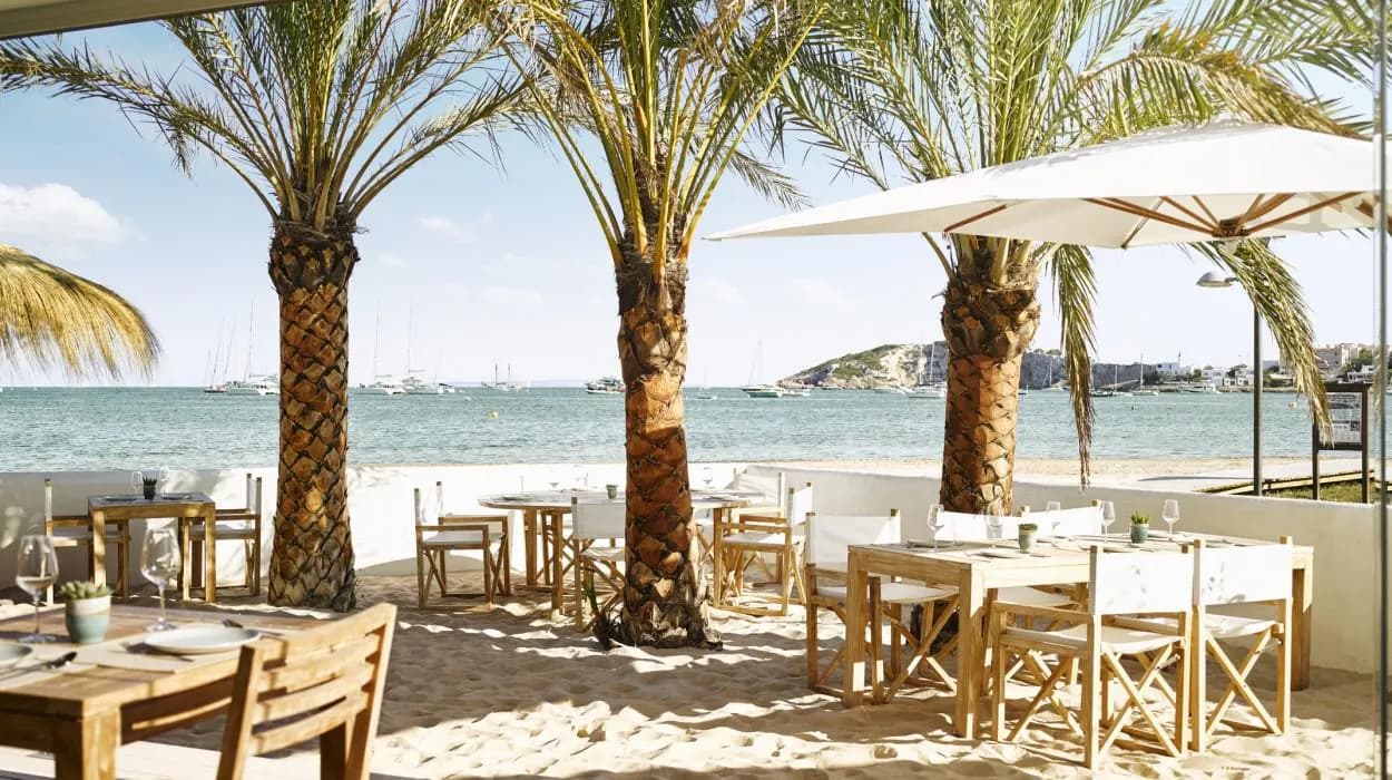 Shaded terrace under palm trees at Nobu Hotel Ibiza Bay