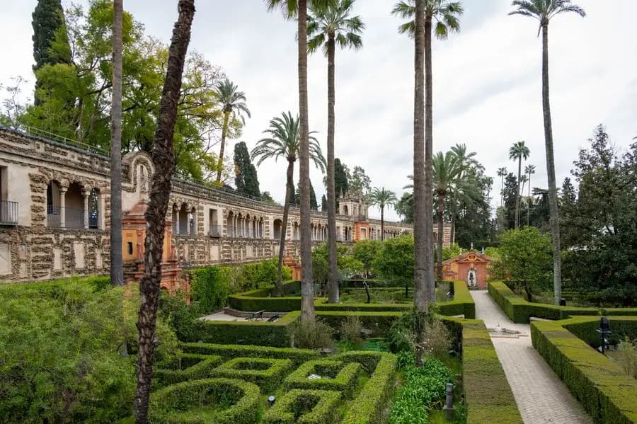 Royal gardens of the Alcázar in Seville, clipped hedges and palm trees