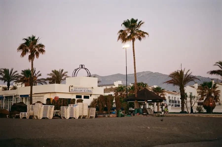 Palm trees and beachfront terraces at Playa Los Álamos, Torremolinos