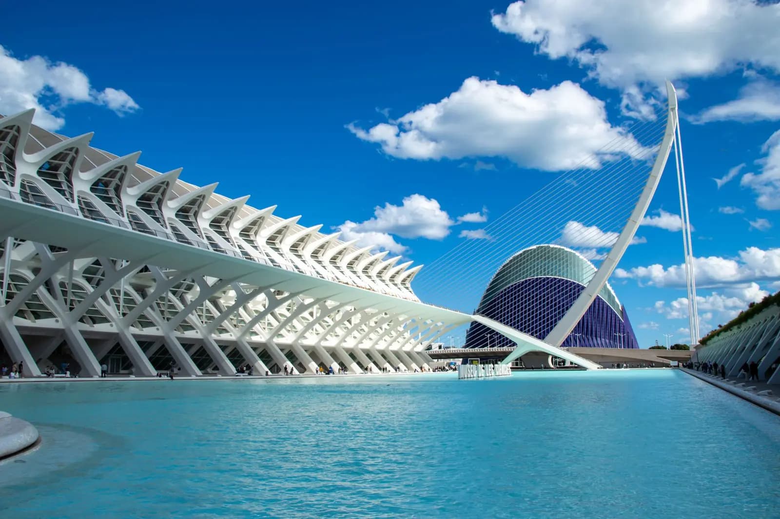Two-day incentive in Valencia, seafront and Albufera