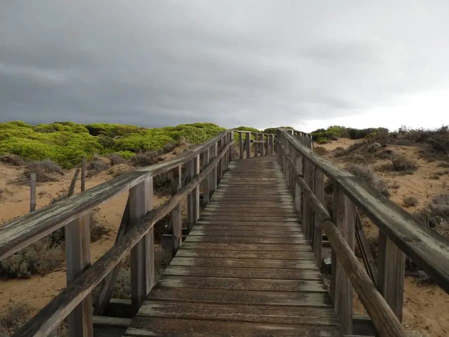 Wooden boardwalk through the dunes of the Huelva coast
