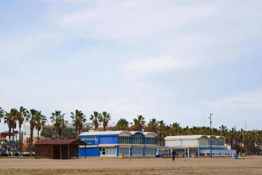 Valencian beach lined with palm trees and beachside restaurants