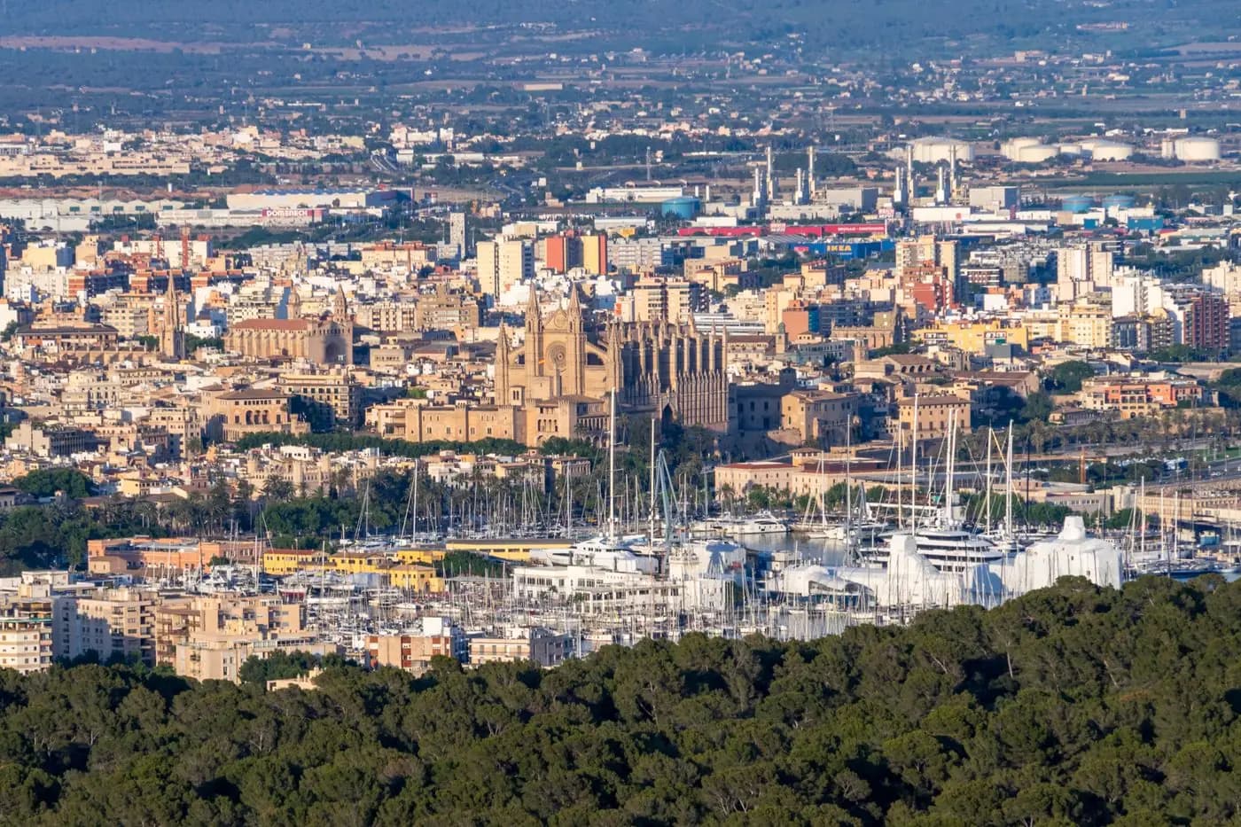 Aerial view of Palma, its cathedral and its marina, second stop of the incentive