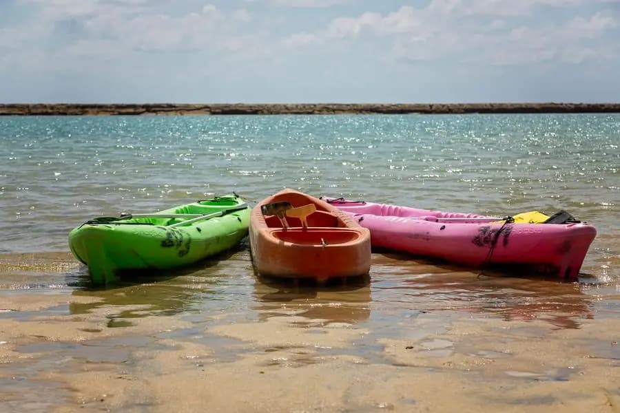 Three colourful kayaks resting on the sand at the edge of calm water