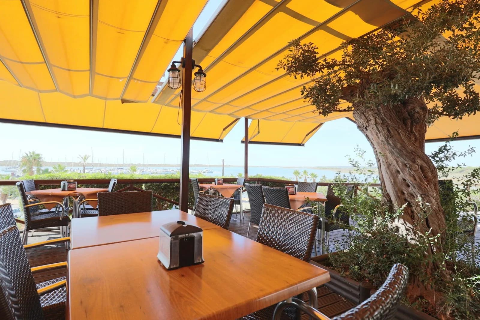 Shaded terrace under an olive tree at Doña Gamba in El Rompido