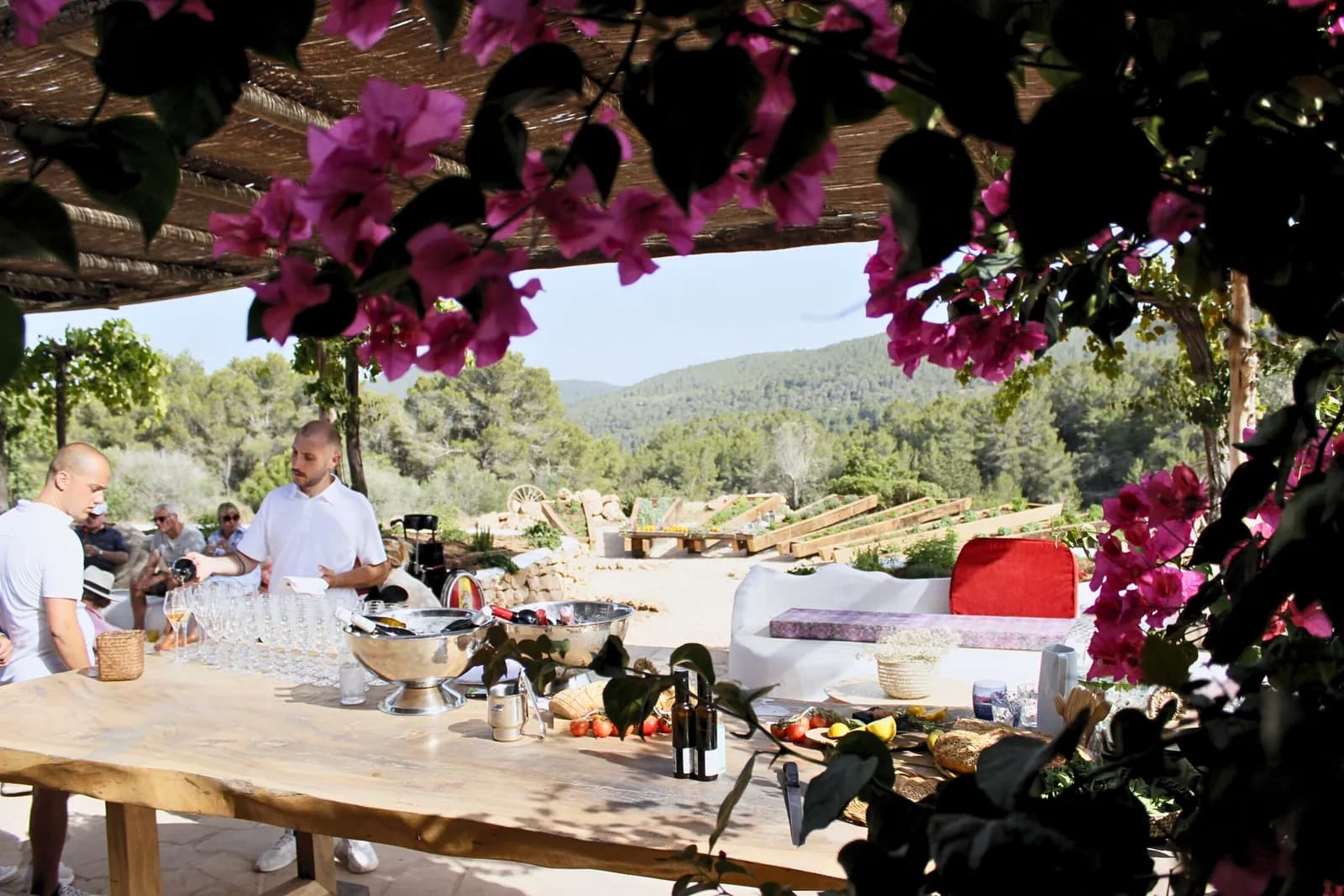 Terrace under bougainvillea, with outdoor service at Na Xamena