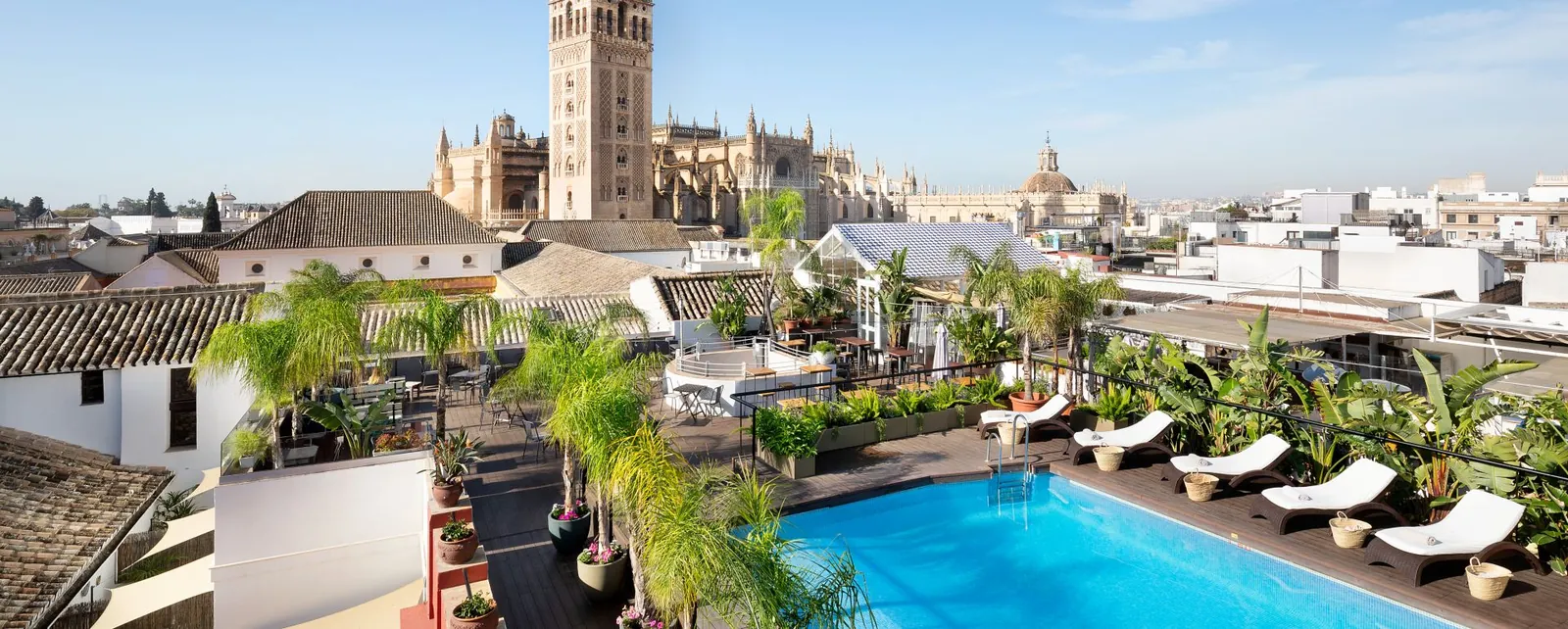 Rooftop pool and sun loungers at Los Seises in Seville with views of La Giralda