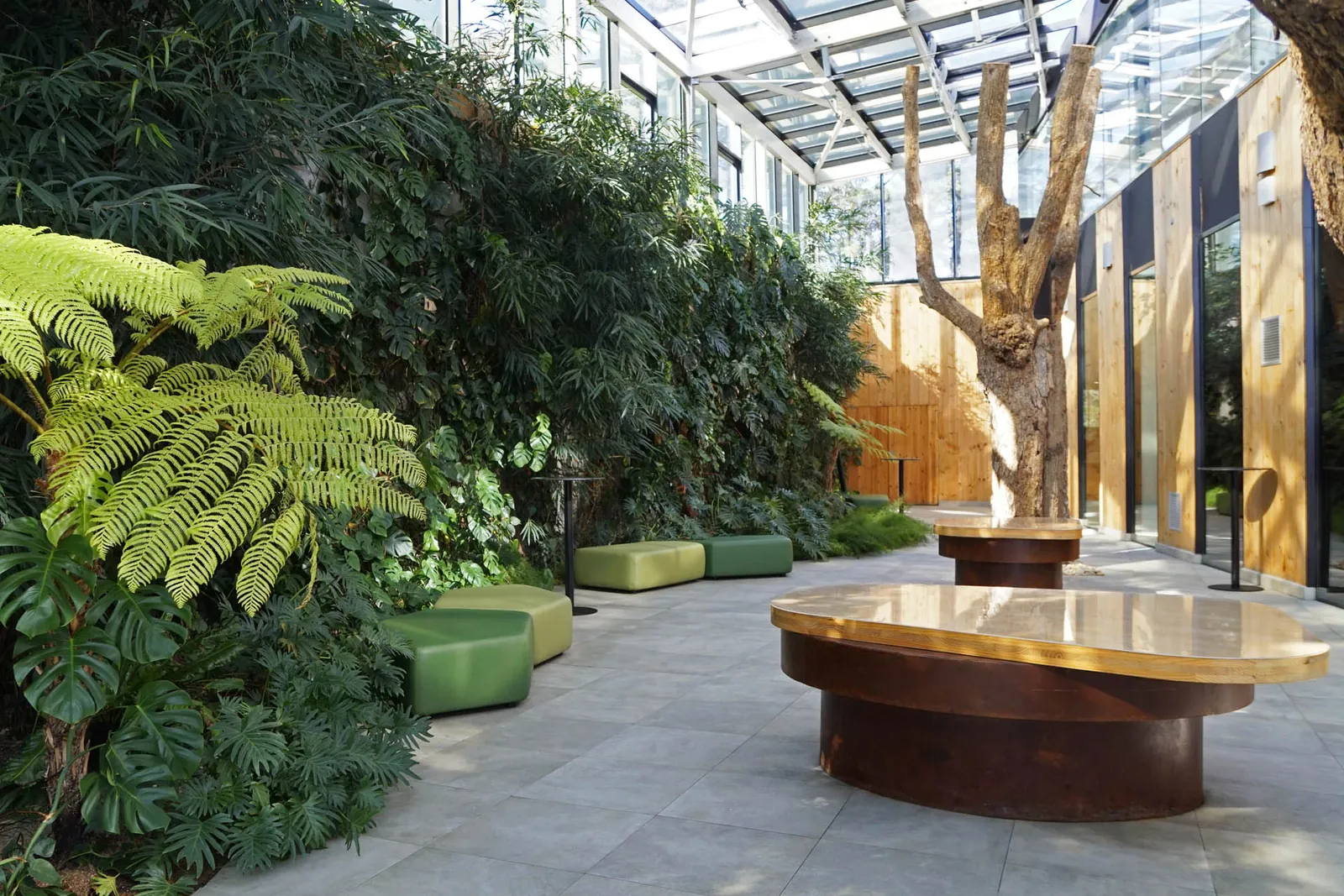 Indoor garden courtyard with ferns and wooden table at Azurmendi