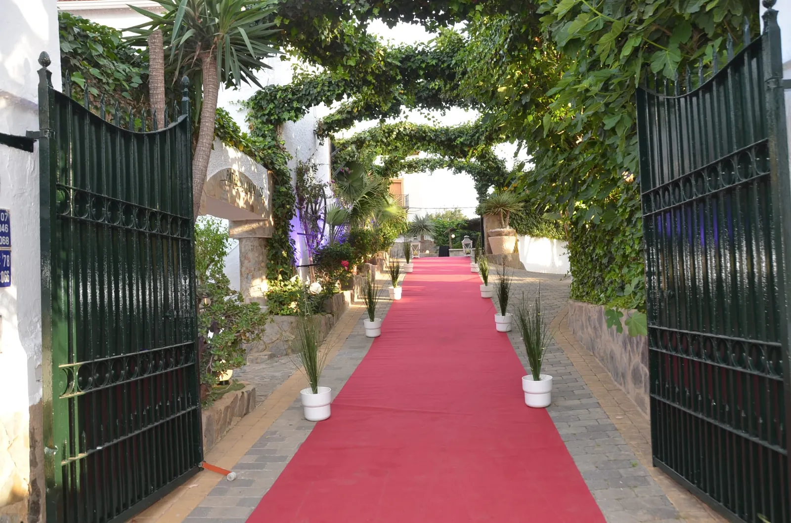 Entrance of Cortijo San Joaquín in Malaga, red carpet under a vine-covered arch