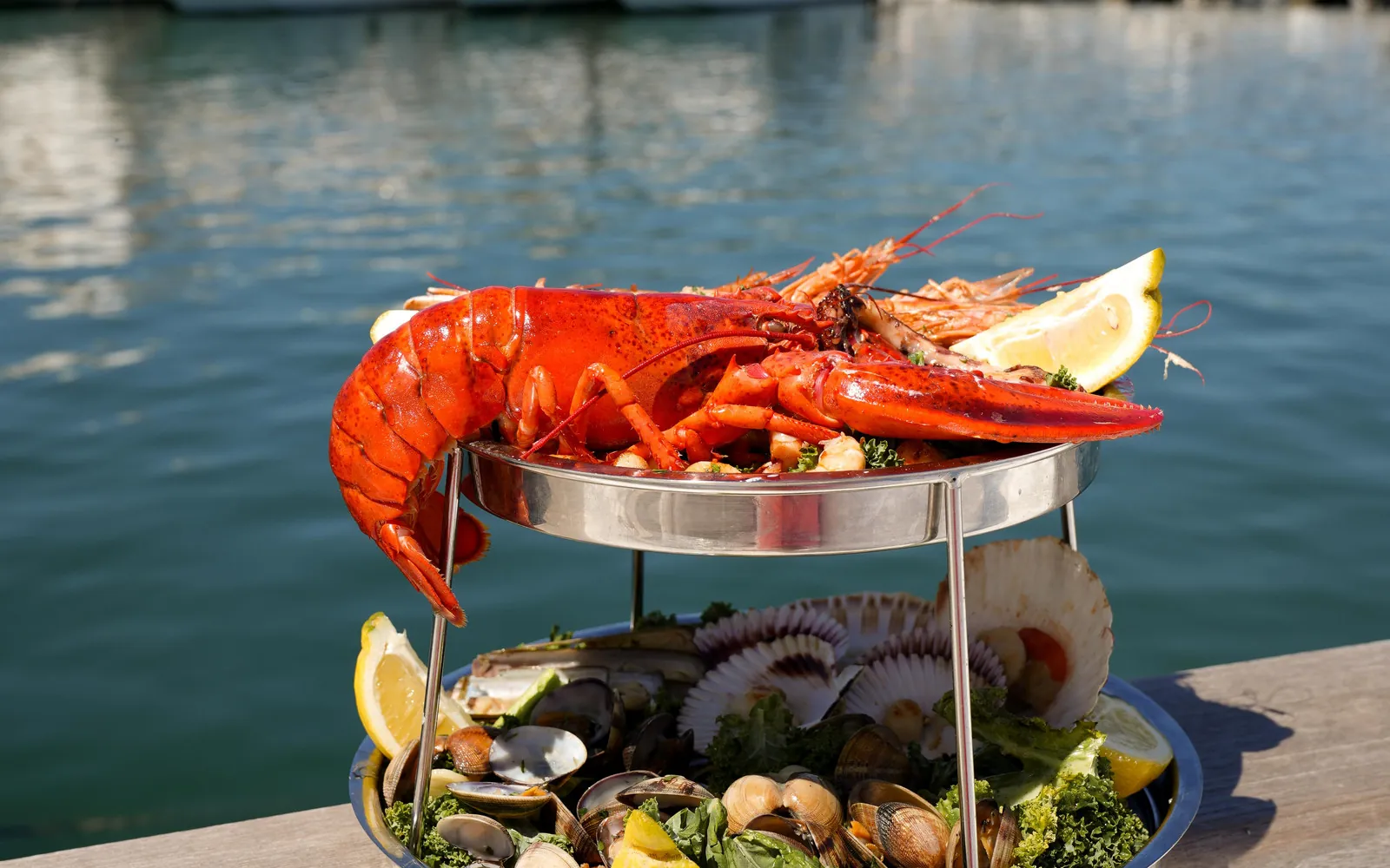 Seafood platter with lobster and shellfish at PiCú Seafood in Puerto Banús