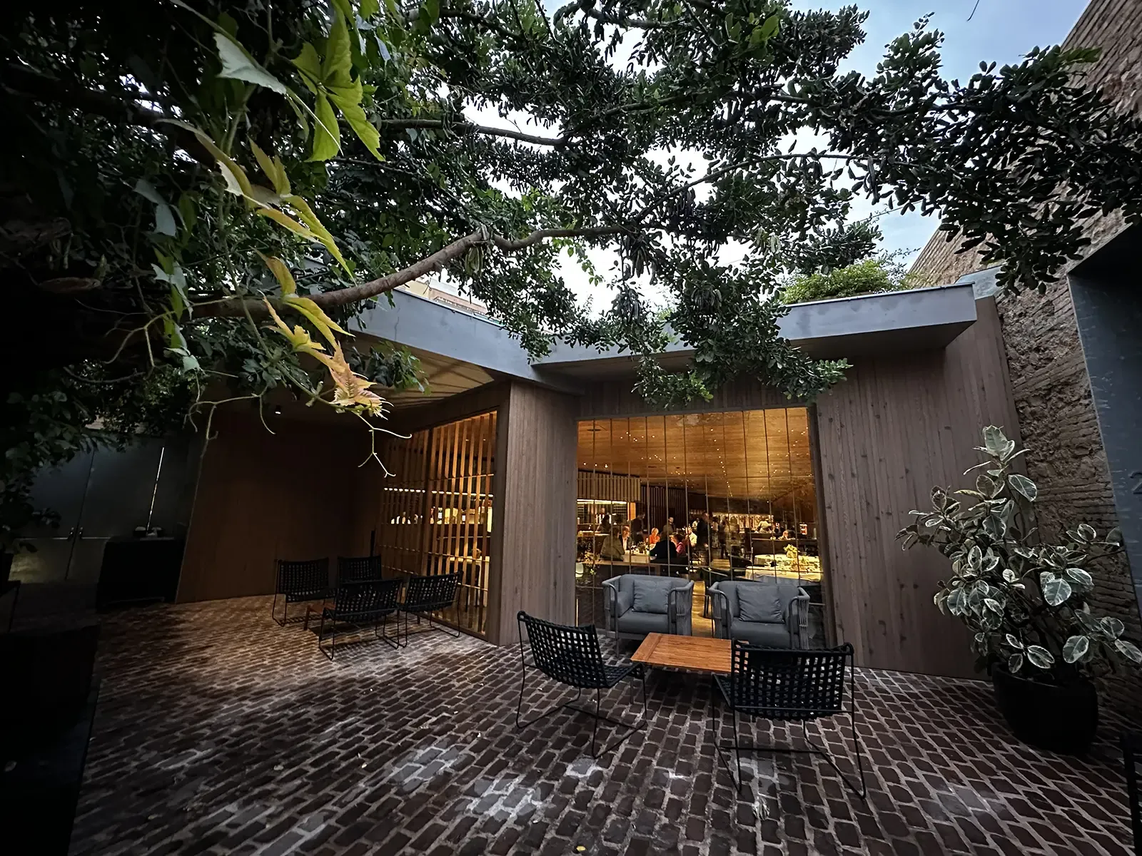 Tree-shaded patio of Ricard Camarena restaurant in Valencia, with lounge seating
