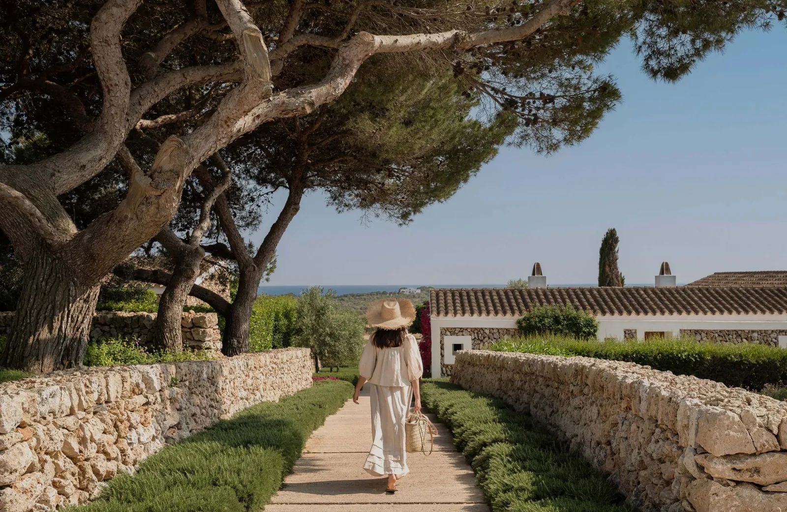 Pine-lined path between stone walls in Torralbenc gardens in Alaior