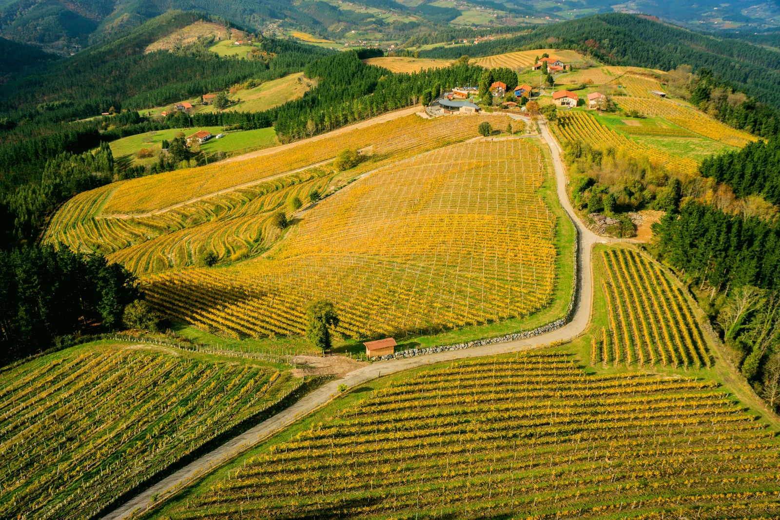 Aerial view of the Bodega Berroja wine estate in the Basque Country