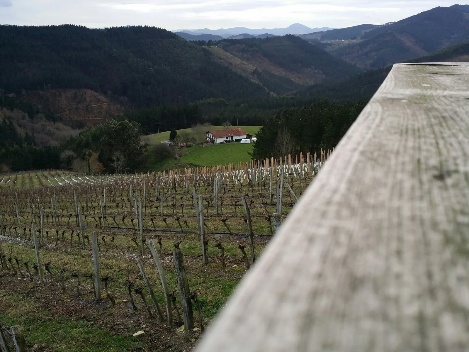 Terrace overlooking the vines and valley at Bodega Berroja