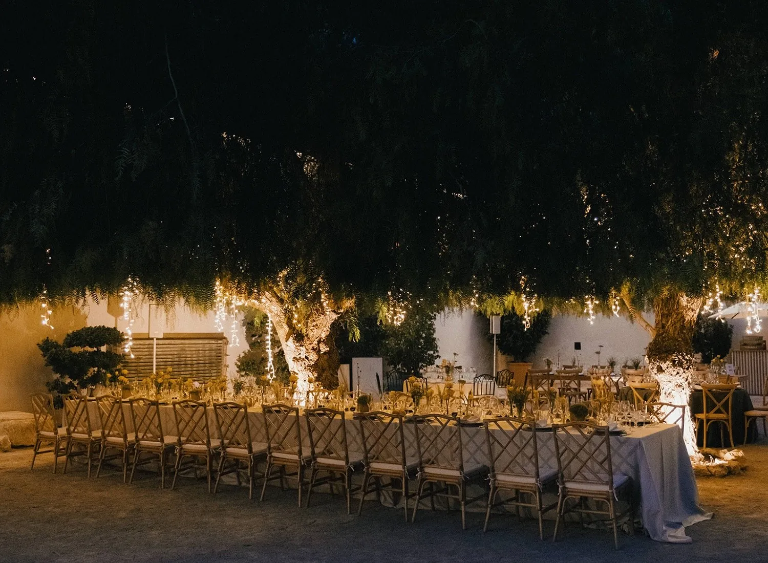 Dinner under the trees at Masía Aldamar near Valencia, lit at night