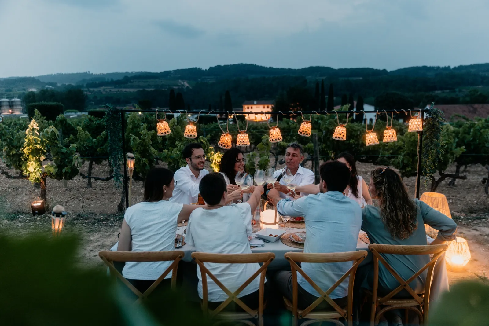 Dinner among the vines at dusk